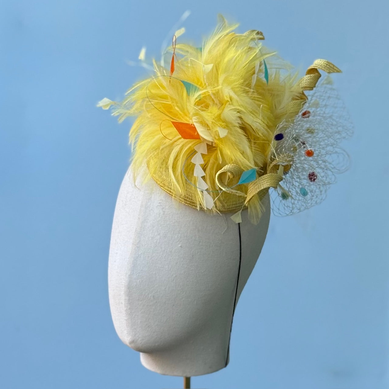 Little Fizz in Sunshine – The House of MacGregor display picture 3