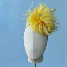 Load image into Gallery viewer, Little Fizz in Sunshine
